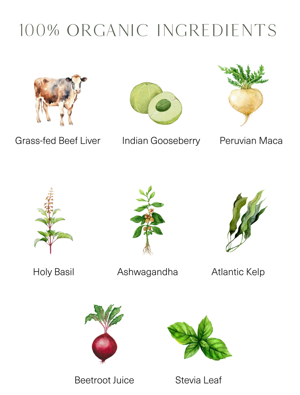 REVITALISE SUPERBLEND