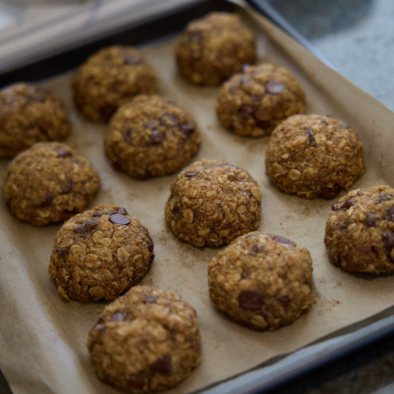 FIG & DARK CHOCOLATE LACTATION BISCUIT MIX