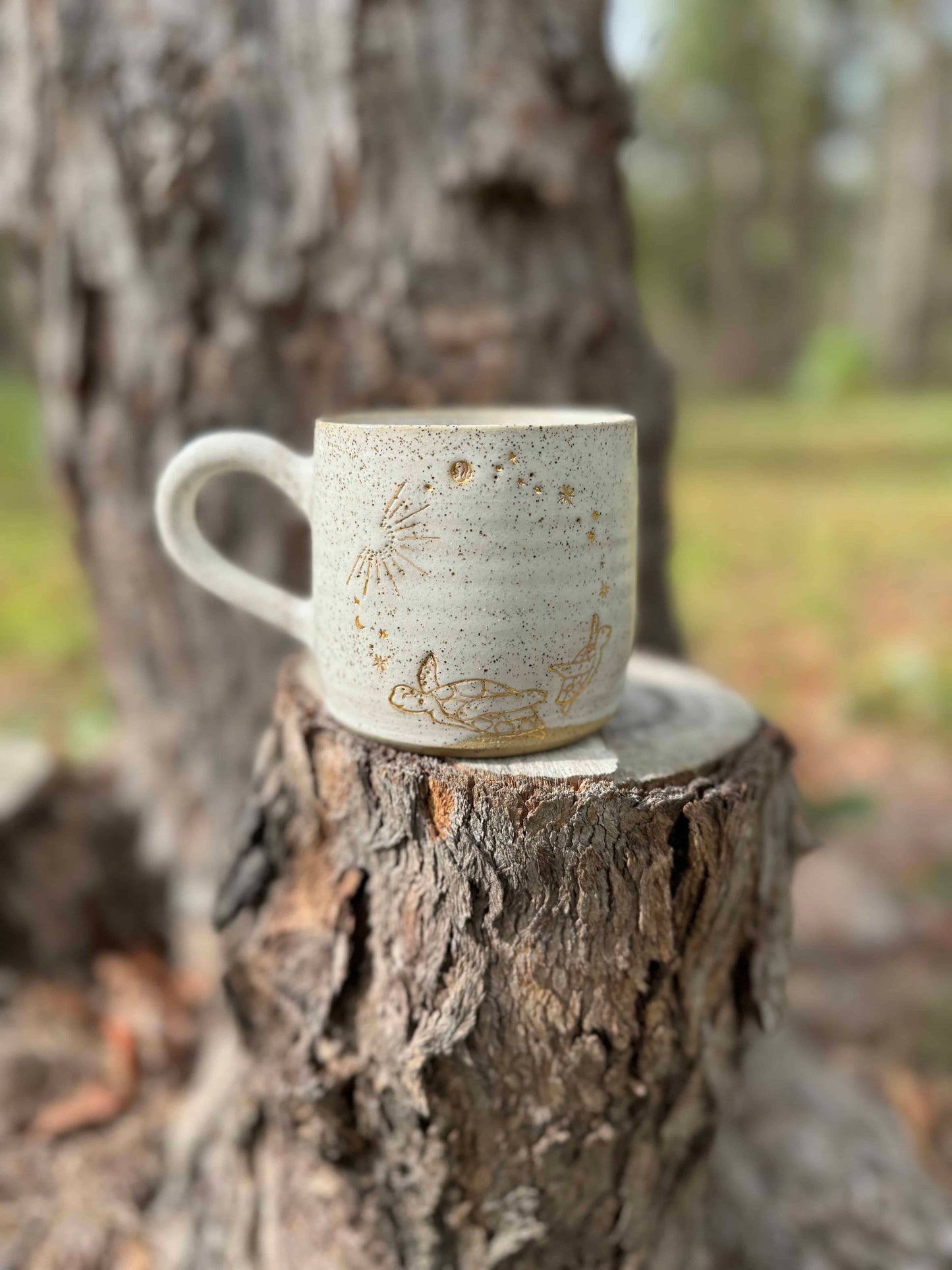 Ceramic Mug - Turtles in the Universe