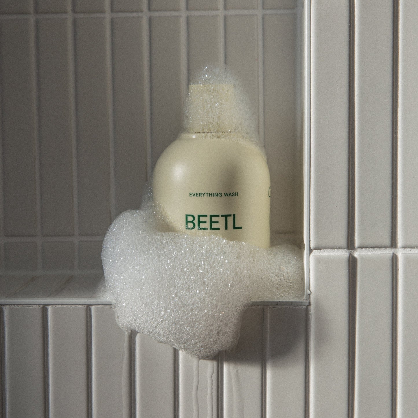 THE EVERYTHING WASH