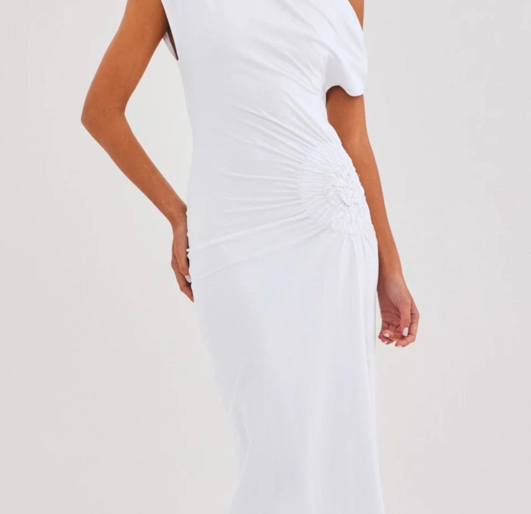 OLIVIDAE MAXI DRESS