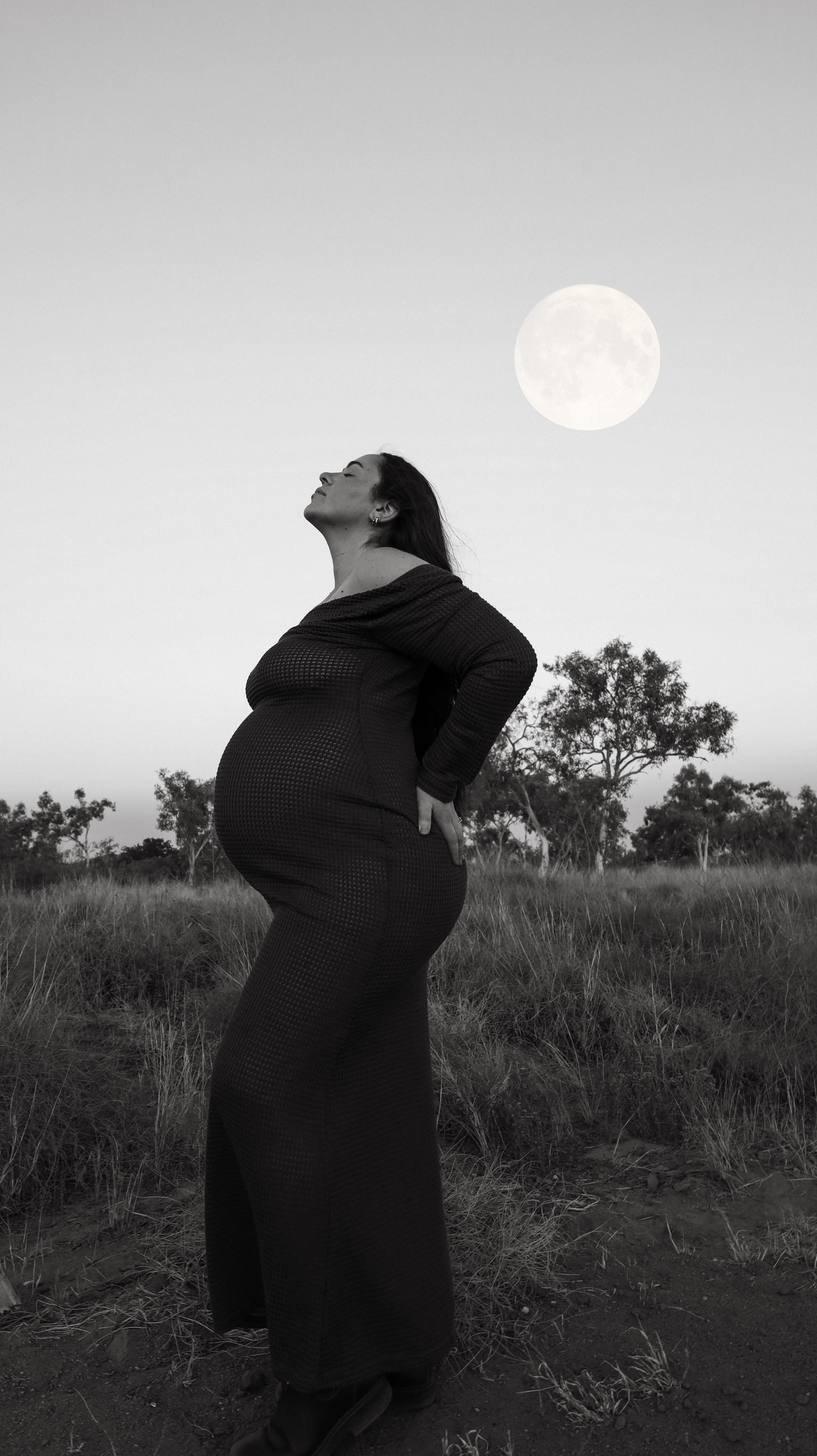 CHOCOLATE KNIT DRESS